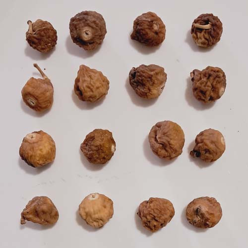 انجیر خشک گوشتی ریز لاکی