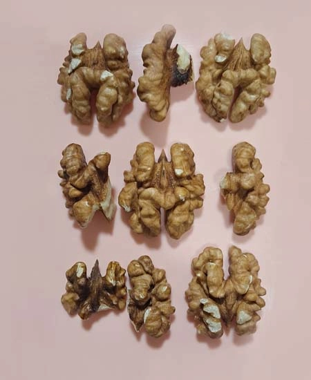 مغزگردو